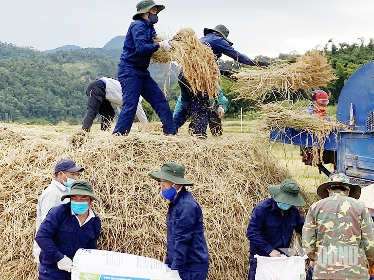 Tỏa sáng phẩm chất Bộ đội Cụ Hồ trên đất bạn Lào